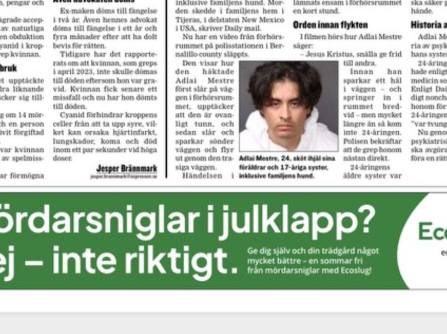 EcoSlug AB:s annons i Expressen – ”Mördarsniglar i julklapp? Nej, inte riktigt.”